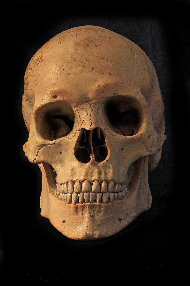 Skull and Bones